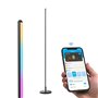 Lampadaire Govee LED Floor Lamp Noir Multicouleur 24 V (1 Pièce)