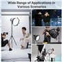 Ulanzi TT43 1.9m Trépied de Lampe en Aluminium, Support pour Appareil Photo et éclairage Vis 1/4" Trépied Pliant Réversible Char