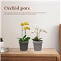 Pots d'orchidées 10pcs Pots végétaux Transparents 10, 9 cm Graines de récipient de Fleurs en Plastique avec Trou pour Plantes ex