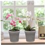 Pots d'orchidées 10pcs Pots végétaux Transparents 10, 9 cm Graines de récipient de Fleurs en Plastique avec Trou pour Plantes ex
