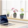 Owddddtnxc Pots d'orchidées 10pcs Pots végétaux Transparents 10, 9 cm Graines de récipient de Fleurs en Plastique avec Trou pour