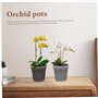 Owddddtnxc Pots d'orchidées 10pcs Pots végétaux Transparents 10, 9 cm Graines de récipient de Fleurs en Plastique avec Trou pour