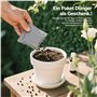 Lot de 500 graines de roses colorées - Sans épines, résistantes à l'hiver, plantations toutes saisons, idéales pour le jardin, l