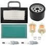 Pizgear Kit de mise au point du filtre à air 499486S avec filtre à carburant