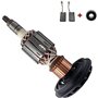 Vuzmode Pièces de Rechange for Ancre de Rotor, for Marteau de démolition Bosch GBH11DE GSH11E (Rotor + balais de Charbon + roule