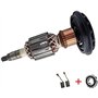 Vuzmode Pièces de Rechange for Ancre de Rotor, for Marteau de démolition Bosch GBH11DE GSH11E (Rotor + balais de Charbon + roule