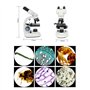 DHsdlpLU Ensemble De Microscope Binoculaire, 40X-1000X, Microscope Biologique avec Pince pour TéLéPhone Portable, pour éTudiant 