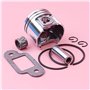 QASULER Kit de roulement à aiguilles de joint de silencieux de circlip d'anneau d'axe de Piston de 38mm, for STIHL, pièce de rec
