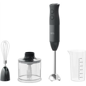 AEG HB4-1-6GG Mixeur plongeant avec accessoires