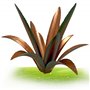 Pesoncarl Ornements de jardin