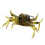 Appât Artificiel de Crabe appâts de pêche en mer Accessoires de pêche en mer matériel de pêche en mer leurres de pêche Souples a