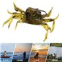 Appât Artificiel de Crabe appâts de pêche en mer Accessoires de pêche en mer matériel de pêche en mer leurres de pêche Souples a