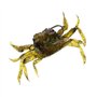 Appât Artificiel de Crabe appâts de pêche en mer Accessoires de pêche en mer matériel de pêche en mer leurres de pêche Souples a