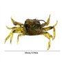 Appât Artificiel de Crabe appâts de pêche en mer Accessoires de pêche en mer matériel de pêche en mer leurres de pêche Souples a