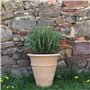 Jardinière en Terre Cuite Artisanale en céramique Palatina | Pot de Fleurs/jardinière | résistant au Gel et aux intempéries | H 