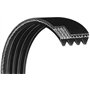 Looxe COURROIE 2610394629 COMPATIBLE
