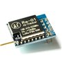 TECNOULAB 2 pièces RA-01 Lora SX1278 433MHz RA01 Prise de Transmission sans Fil à Spectre étalé