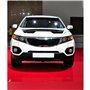 XUBOR 1 Paire de Couvercle de buse de Lavage de Lampe Frontale Gauche Droite ABS de Voiture Jet 98680-2P000 98690-2P000, for Kia