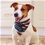 Bandanas d'anniversaire pour chien - Drapeau américain - Lavable - Accessoires pour animaux de compagnie - Écharpe triangulaire 