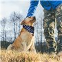 Bandanas d'anniversaire pour chien - Drapeau américain - Lavable - Accessoires pour animaux de compagnie - Écharpe triangulaire 
