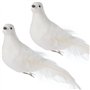 Lot de 2 oiseaux artificiels en forme de tourterelle for décoration - Colombes artificielles - Oiseaux blancs - Pigeons en mouss