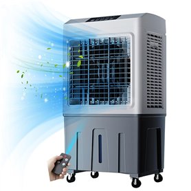 Grand Rafraîchisseur d'air 50L