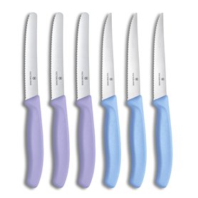 Victorinox Swiss Classic