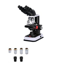 Microscope binoculaire