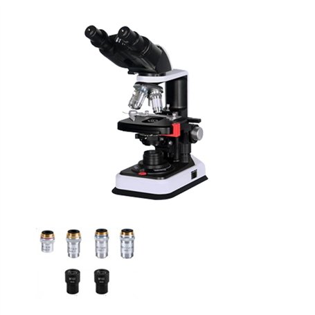 Microscope binoculaire