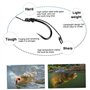Kit de Montage de Cheveux pêche à la Carpe matériel pêche à la Carpe sans ardillon en Acier Inoxydable Anti n UD 12 pièces