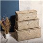 YSGLIFE Panier de Rangement Rectangulaire Tissé à la Main avec Couvercle, Boîte Naturelle pour étagères à Livres, Organisateur d