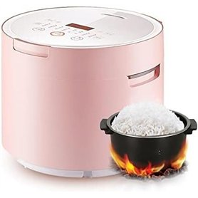 Cuiseur de Riz