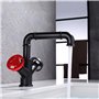 Vintage Style Industriel Steampunk Design Hôtel Robinet Mitigeur Lavabo