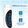 GOLDEN ICEPURE Filtre à eau pour réfrigérateur Compatible Avec Bosch Ultra Clarity 644845, Siemens Neff Miele 740560 00740560 90