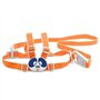 Chicco - 68390400000 - Bretelle de Sécurité - 2+ mois