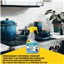 Spray Nettoyant Barbecue et Grille de Four