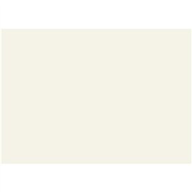 GBC HiGloss Pack de 100 Couvertures Reliure Blanc