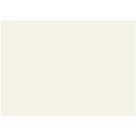 GBC HiGloss Pack de 100 Couvertures Reliure Blanc
