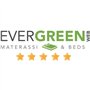 EVERGREENWEB - Oreiller de lit 40x70 Haut 18 cm, Oreiller en Mémoire de Forme de Haute Qualité, Hypoallergénique,Double Housse A