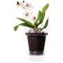 Kalapanta Terreau Professionnel pour Orchidées - Bark Organique Naturel avec Écorce de Pin Maritime et Tourbe Blonde, Idéal pour