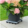 Lot de 2 Rouleaux pour déplacement Rapide – Chariot pour déplacement Lourd – 6 x 8 x 34,5 cm, Gris