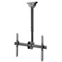 Support plafond pour TV Techly ICA-CPLB 946L 70" 37"