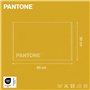 PANTONE™ - Tapis de bain absorbant résistant en 100 % coton doux certifié OEKO-TEX, tapis de salle de bain élégant coloré et lav