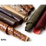 Python en Dimensions et Couleurs Aléatoires – Made in Italy –