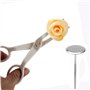 décoration de gâteau Fondant Plateau crème transfert Outils d