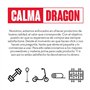 Bandes de résistance élastique CalmaDragon, Ensemble de Musculation, 5 Tubes en Latex, avec Sac Inclus, avec poignées, Sangles d