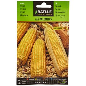 Semillas aromáticas de Battle - Maíz Palomitas Pop Corn (12g)