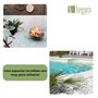 Vegara Stone Pierre de jardin décoration galet blanc pur 2-4 cm (10 kg)