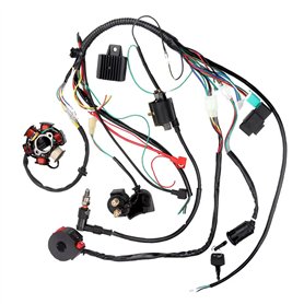 Bobine Stator Faisceau De Câbles Électriques