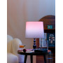 Aigostar Ampoule Connectée E27 G120 Bluetooth Mesh, 18W Ampoule LED Intelligente Dimmable Lampe Fonctionne avec Alexa avec Bluet